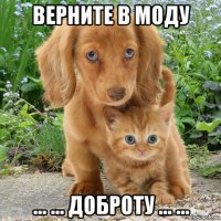 верните в моду ... ... доброту ... ...