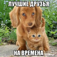 лучшие друзья на времена