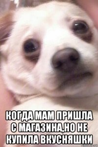 когда мам пришла с магазина,но не купила вкусняшки