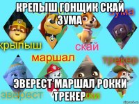 крепыш гонщик скай зума эверест маршал рокки трекер
