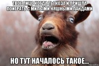 твое лицо когда ты коза и пришла поиграть с милыми няшными пандами но тут началось такое...