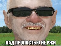  над пропастью не ржи