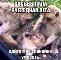 васе выпала очередная лега 