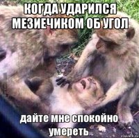 когда ударился мезиечиком об угол 