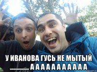  у иванова гусь не мытый .............. а а а а а а а а а а а