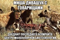 миша дивашук с товарищами доедают последнего аспиранта центра молекулярной биотехнологии