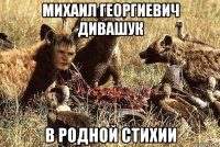 михаил георгиевич дивашук в родной стихии