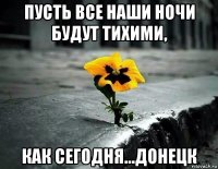 пусть все наши ночи будут тихими, как сегодня...донецк