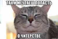 так и мечтаеш попасть о читерстве
