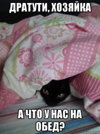 дратути, хозяйка а что у нас на обед?