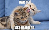 как ты уже надоела