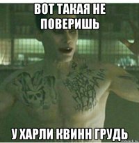 вот такая не поверишь у харли квинн грудь