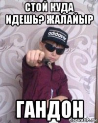 стой куда идешь? жалайыр гандон