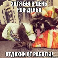 хотя бы в день рожденья отдохни от работы!