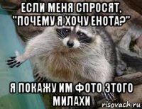 если меня спросят, "почему я хочу енота?" я покажу им фото этого милахи
