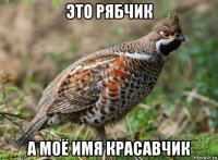 это рябчик а моё имя красавчик