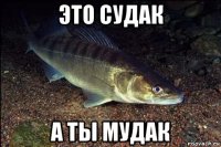 это судак а ты мудак