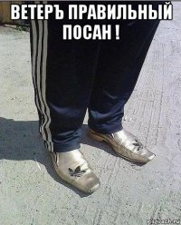 ветеръ правильный посан ! 