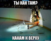 ты как там? какам к верху
