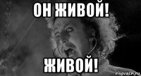 он живой! живой!