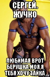 сергей. жучко любимая врот берушка моя я тебя хочу зайка