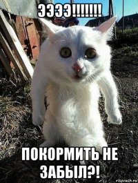 ээээ!!!!!!! покормить не забыл?!