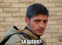  за щооо?