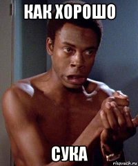 как хорошо сука