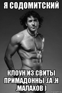 я содомитский клоун из свиты примадонны .(а .н .малахов )