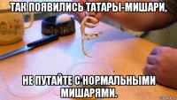 так появились татары-мишари, не путайте с нормальными мишарями.