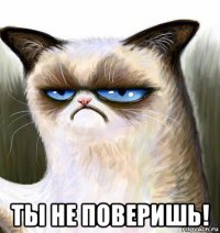  ты не поверишь!