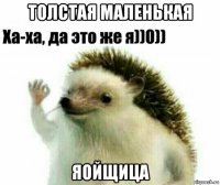толстая маленькая яойщица