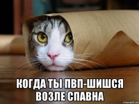  когда ты пвп-шишся возле спавна