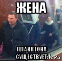 жена планктона существует