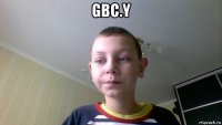 gbc.y 