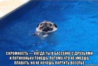  скромность — когда ты в бассейне с друзьями и потихоньку тонешь, потому что не умеешь плавать, но не хочешь портить веселье