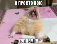 я просто пою гуляем !!!