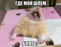 где мой шлем блять?