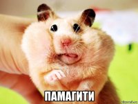  памагити