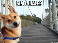 si, ti-i jale? 