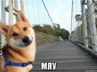  мяу