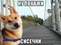 ну покажи сисечки