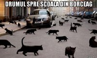 drumul spre scoala din borceag 