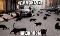 иду я значит на диплом
