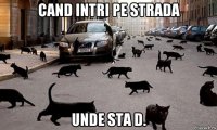 cand intri pe strada unde sta d.
