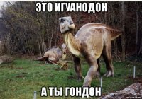это игуанодон а ты гондон