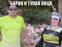 баран и тупая овца 