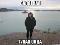 балотная тупая овца