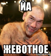 йа жевотное
