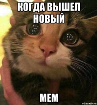 когда вышел новый мeм